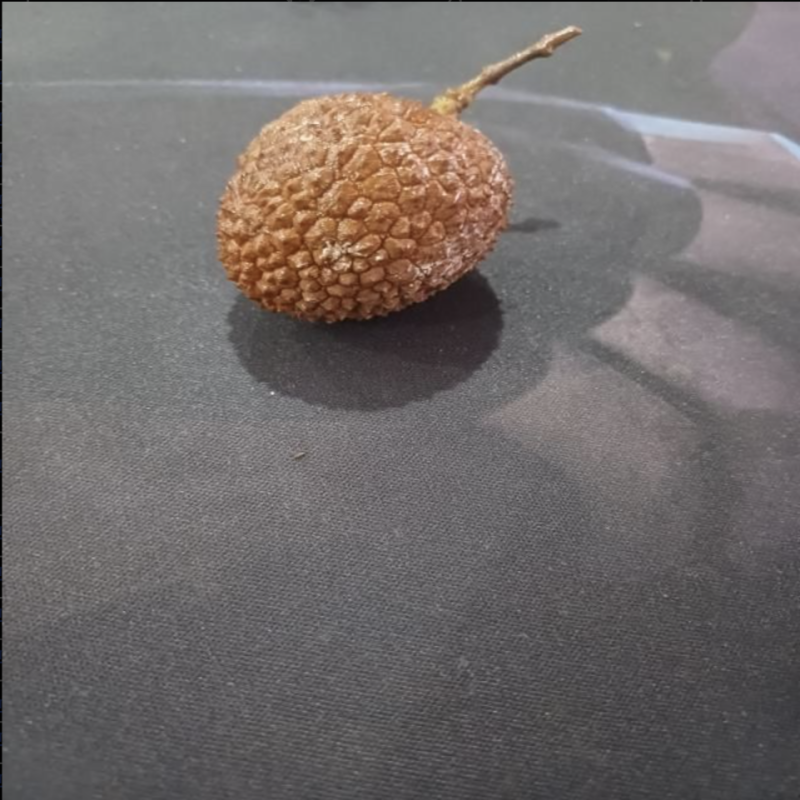 荔枝成熟度检测数据集-数据中国