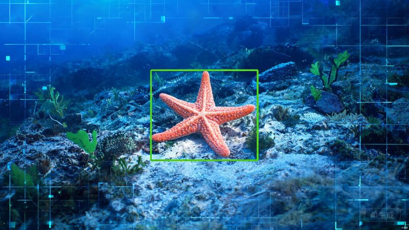 各类海星实例分割数据集 | 目标检测 | 自然环境-数据中国