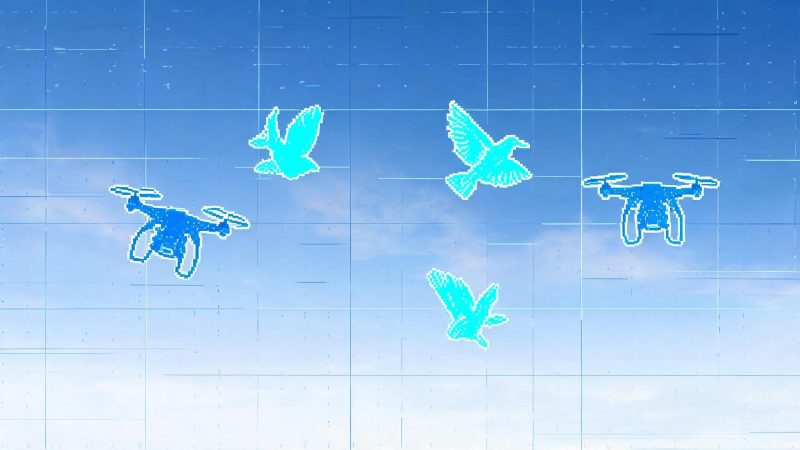 空中飞行物检测数据集(鸟无人机气球) | 语义分割 | 交通车辆-数据中国