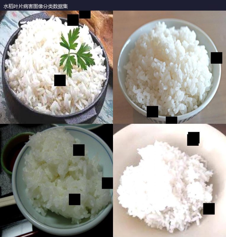 水稻叶片病害图像分类数据集-YOLO数据集