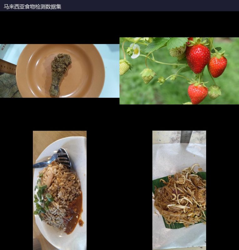 马来西亚食物检测数据集-YOLO数据集