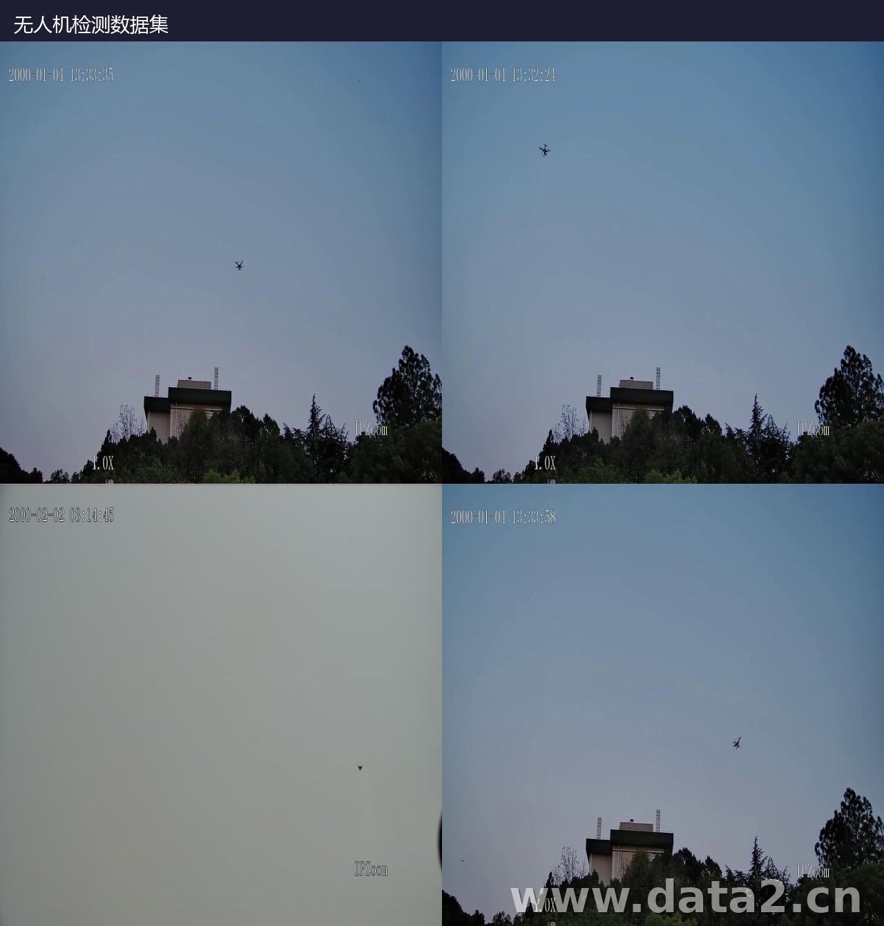 昆虫物种检测数据集-YOLO数据集