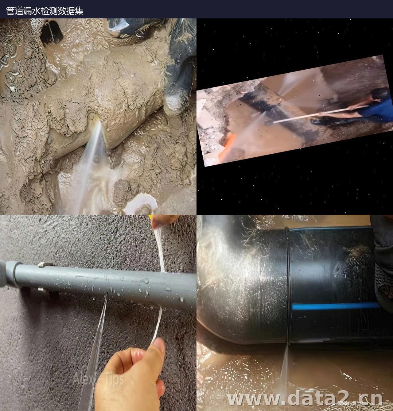 数据集16054 预览图