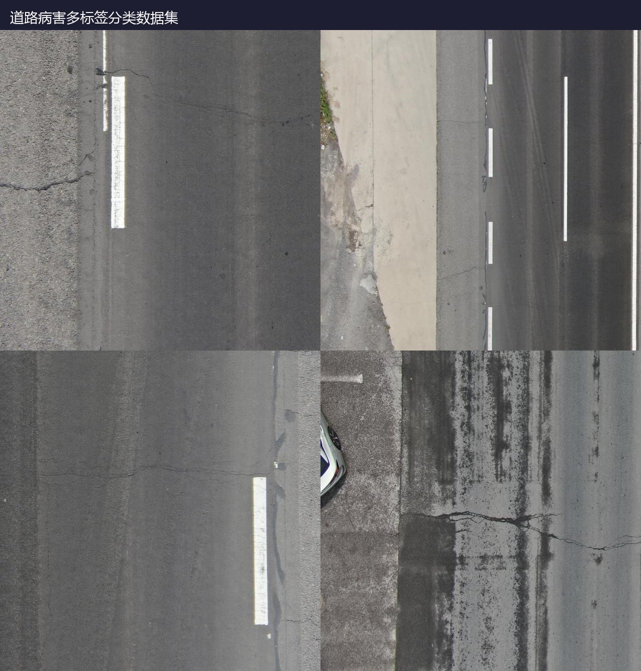 道路病害多标签分类数据集 预览图