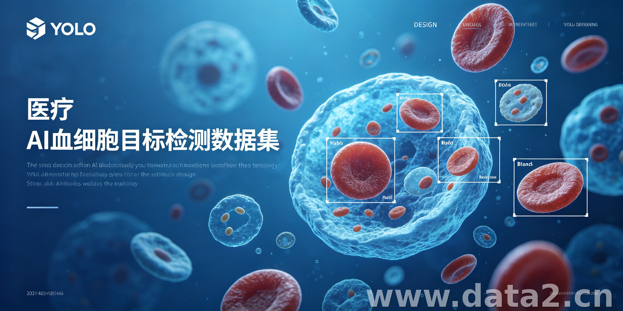 血细胞图像数据集-YOLO数据集