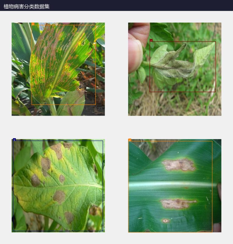 植物病害分类数据集-YOLO数据集