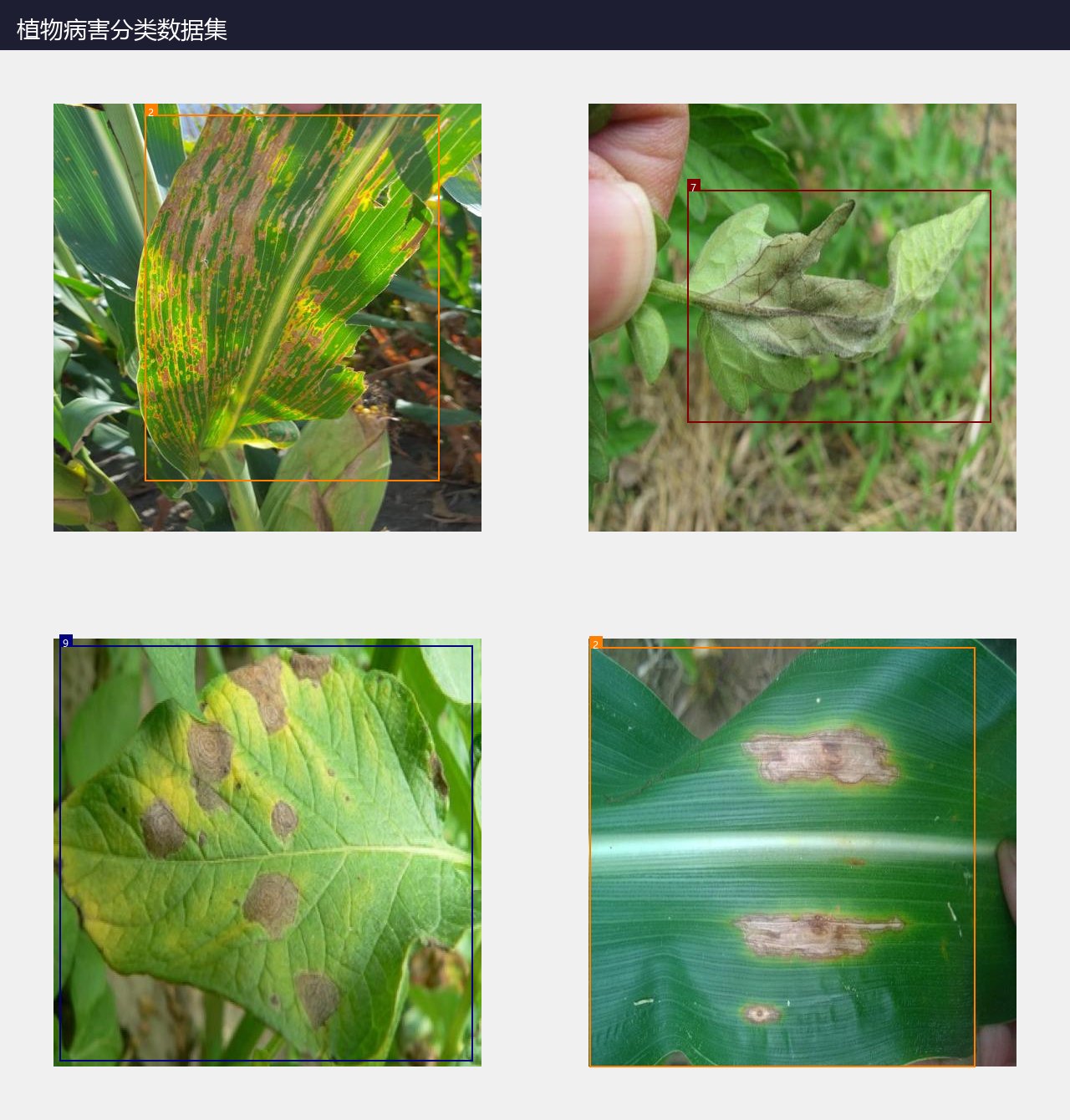 植物病害分类数据集 预览图