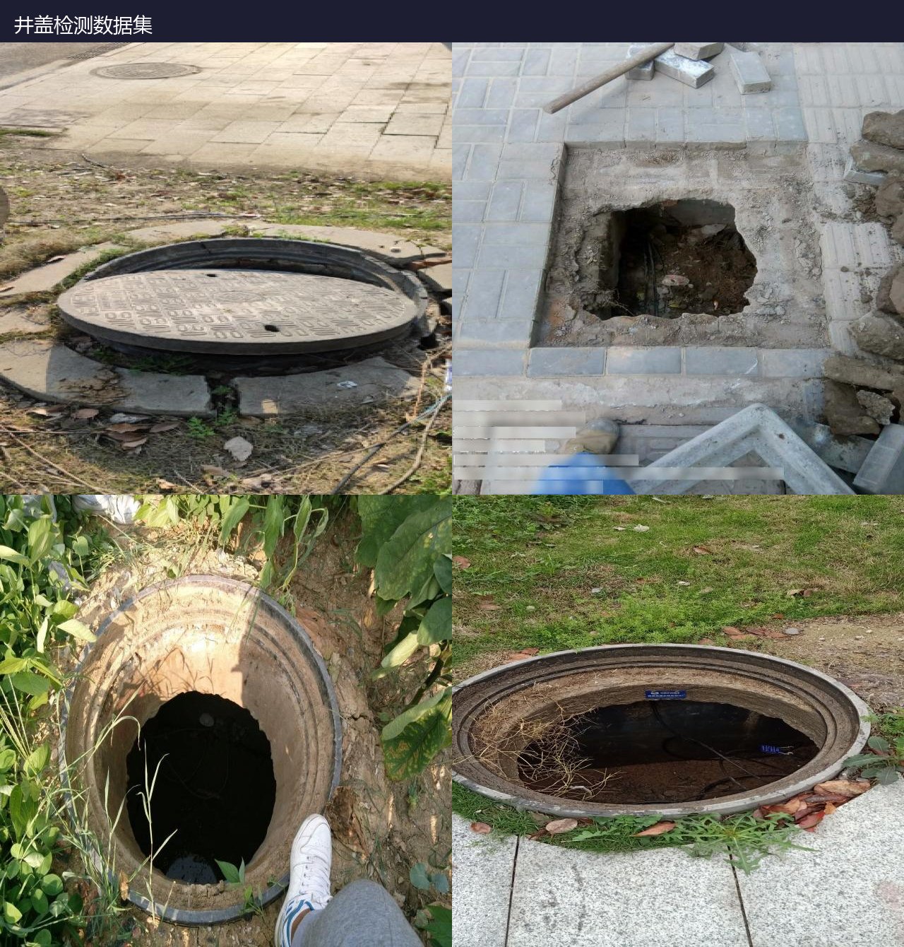 井盖检测数据集 预览图