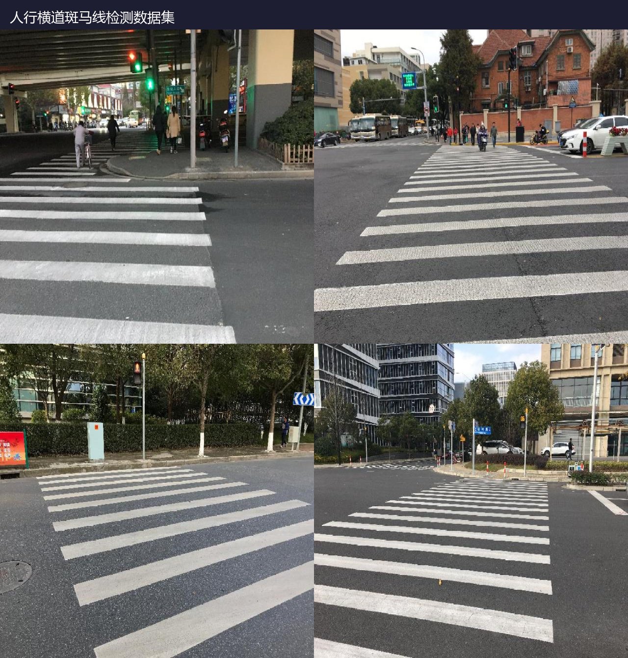 人行横道斑马线检测数据集 预览图