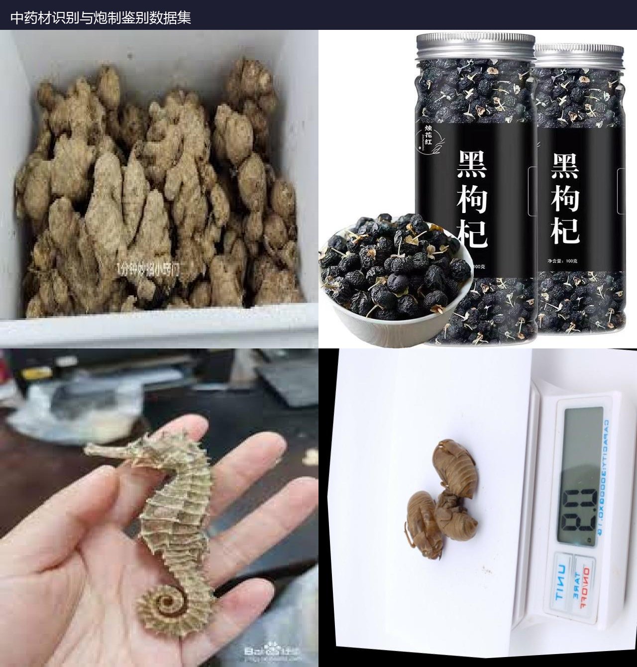 中药材识别与炮制鉴别数据集 预览图