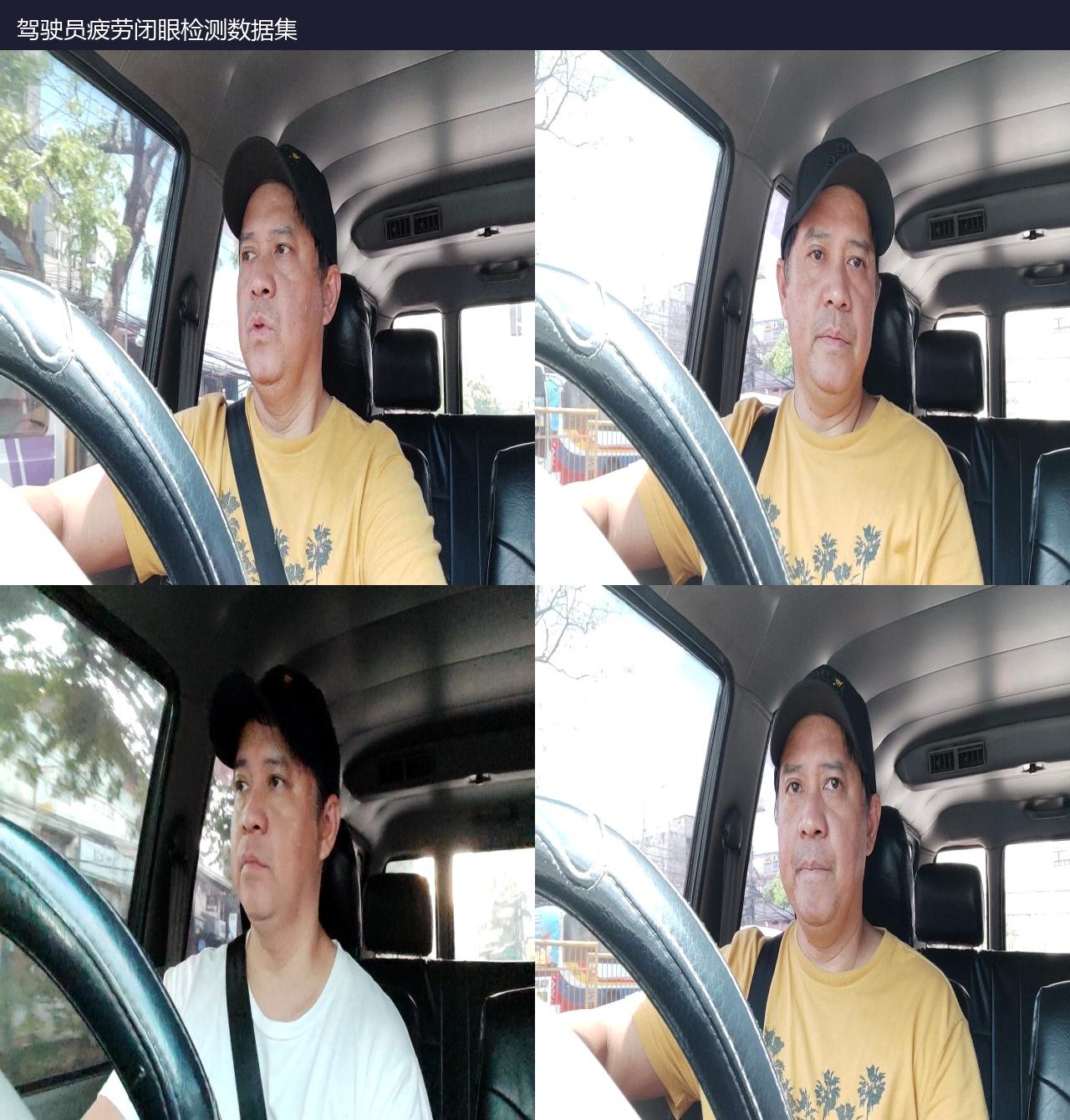 驾驶员疲劳闭眼检测数据集 预览图