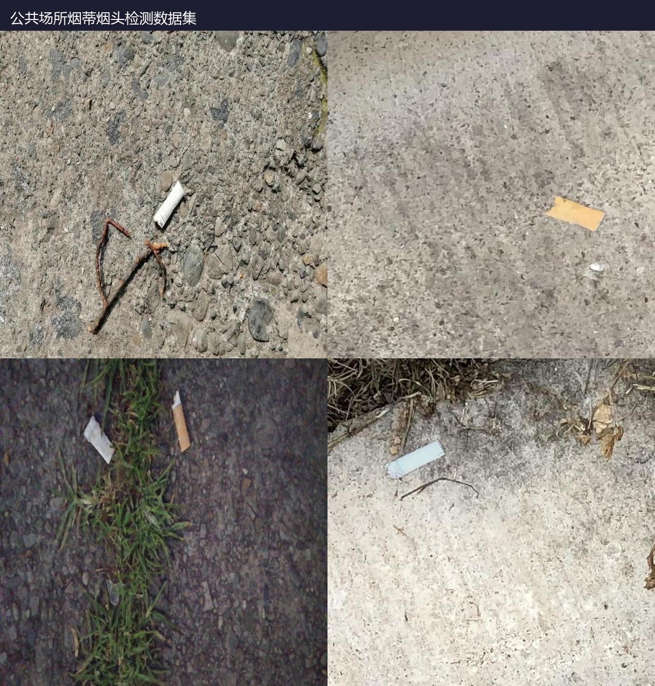 公共场所烟蒂烟头检测数据集 预览图