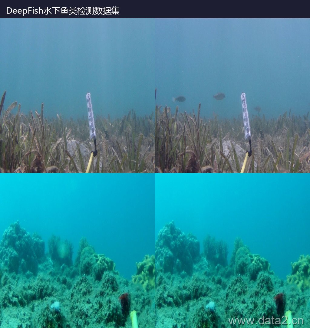 DeepFish水下鱼类检测数据集 预览图