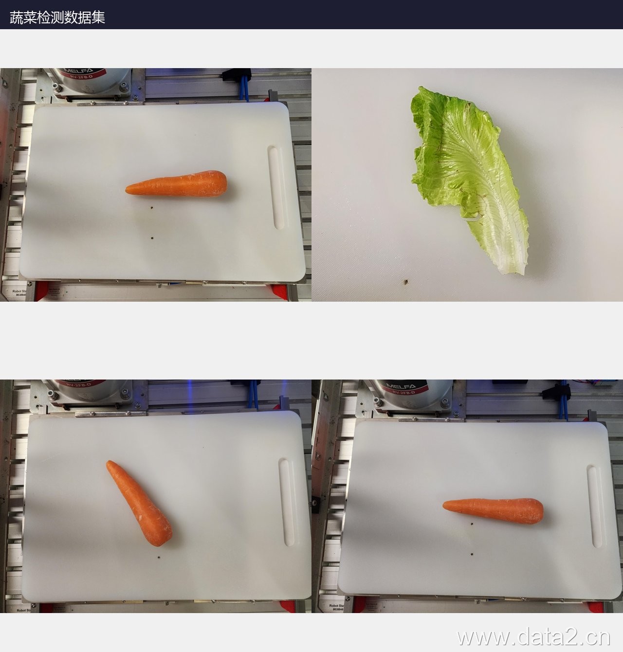 蔬菜检测数据集（4类） 预览图