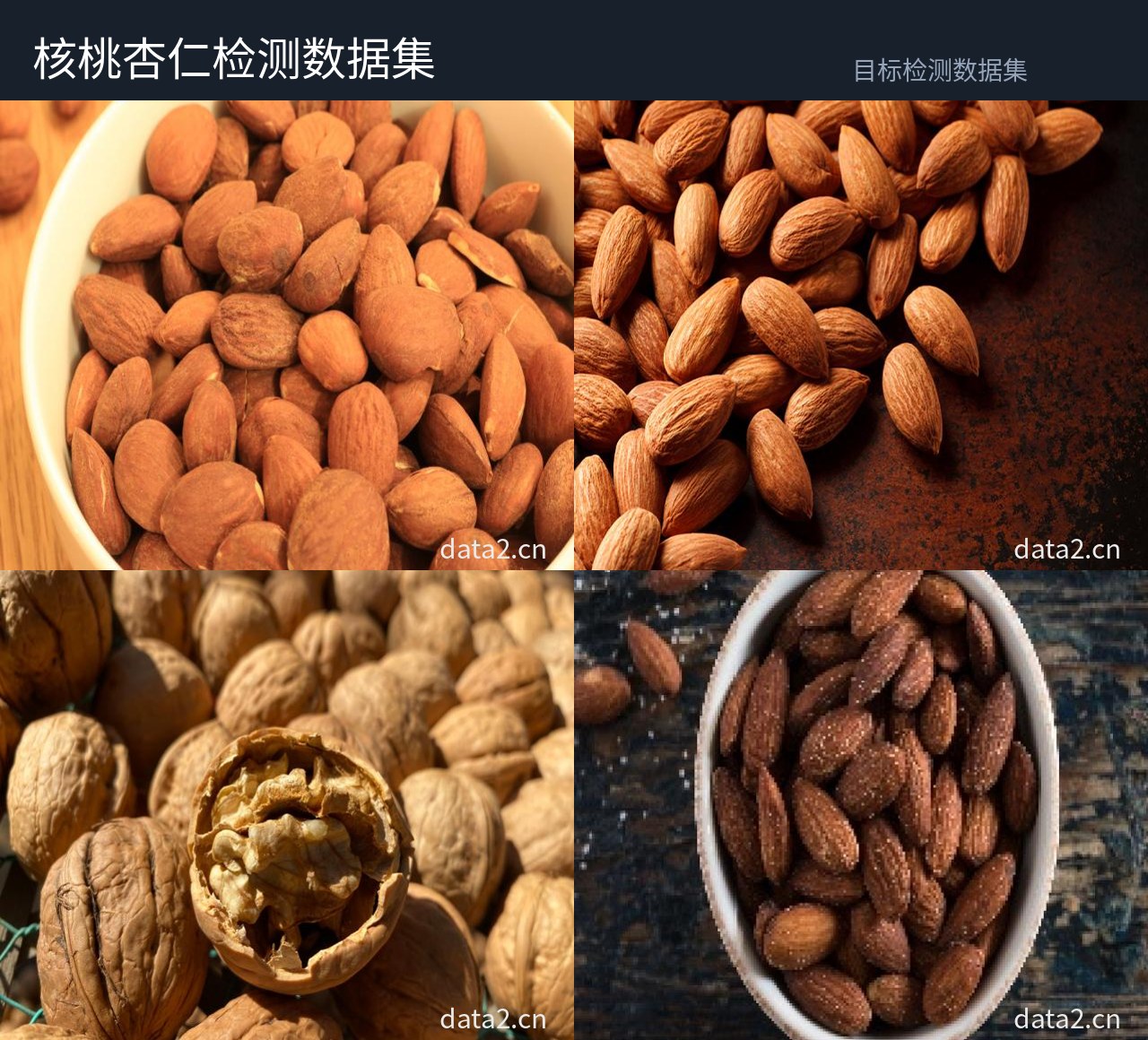 核桃杏仁检测数据集 预览图
