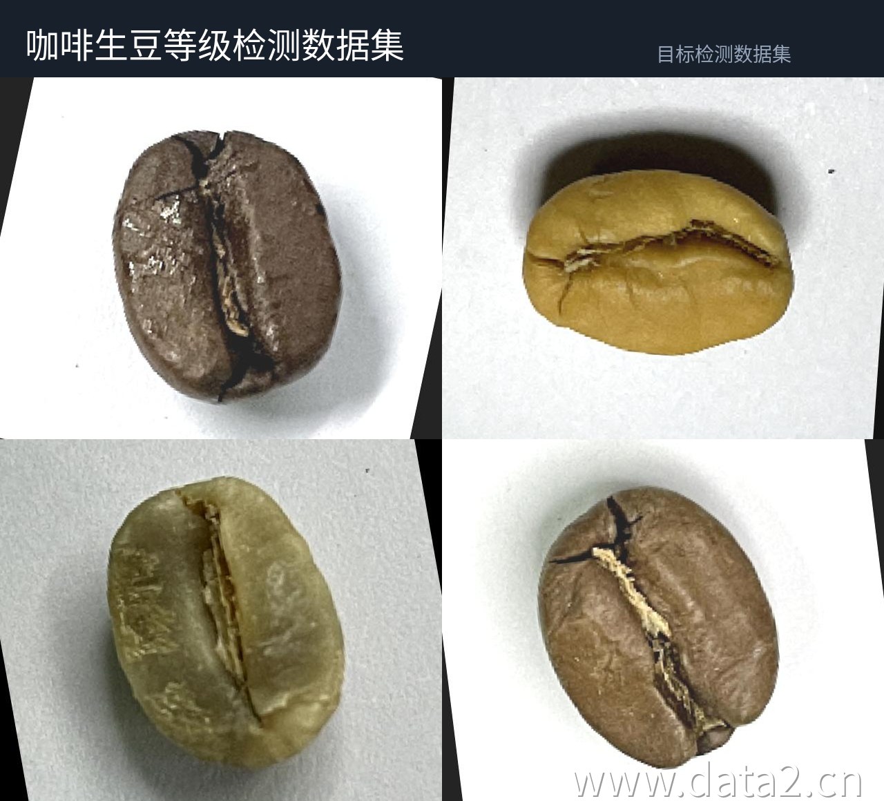 白底咖啡豆俯视检测数据集 预览图