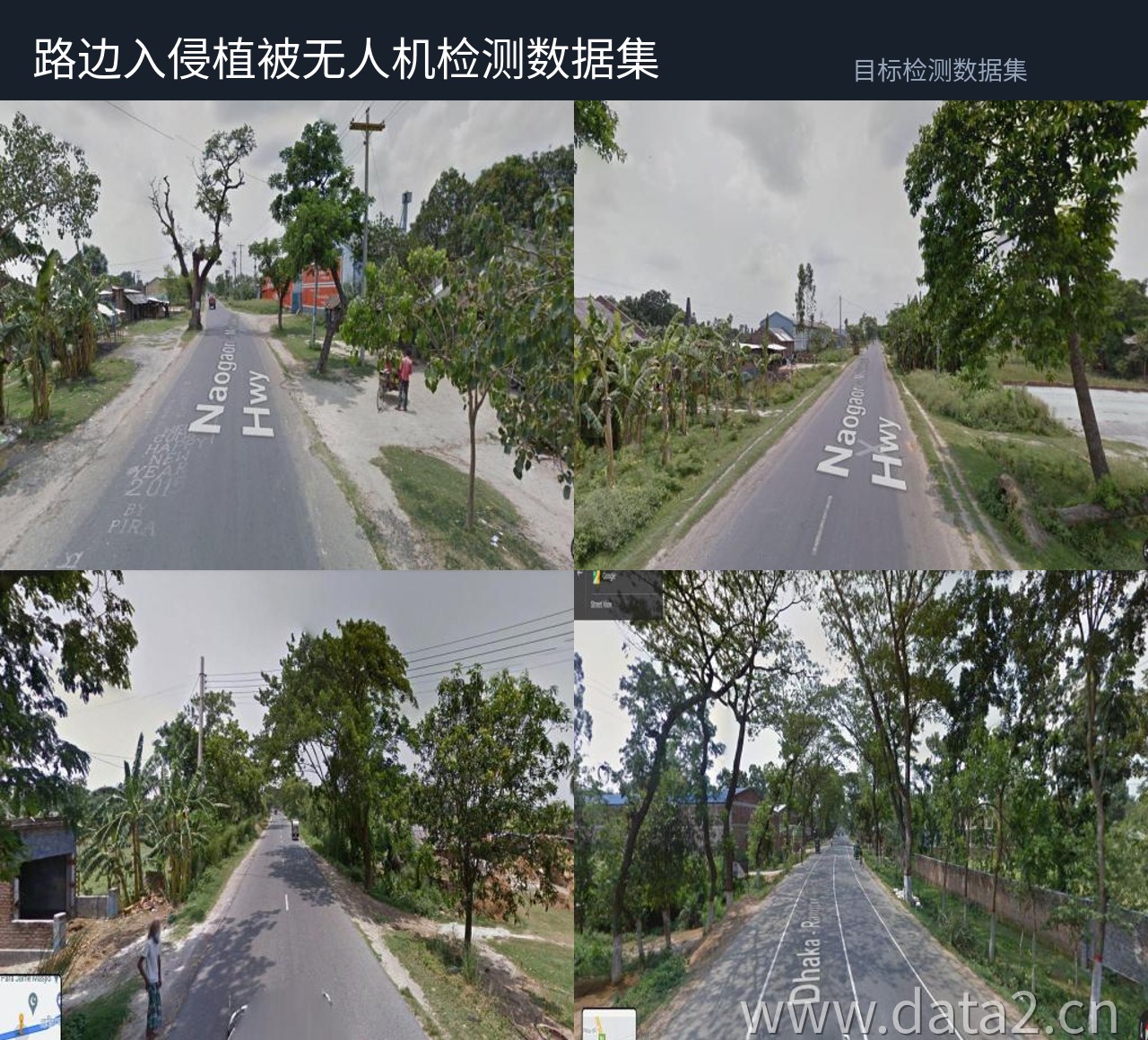 乡村道路路旁植被检测数据集 预览图