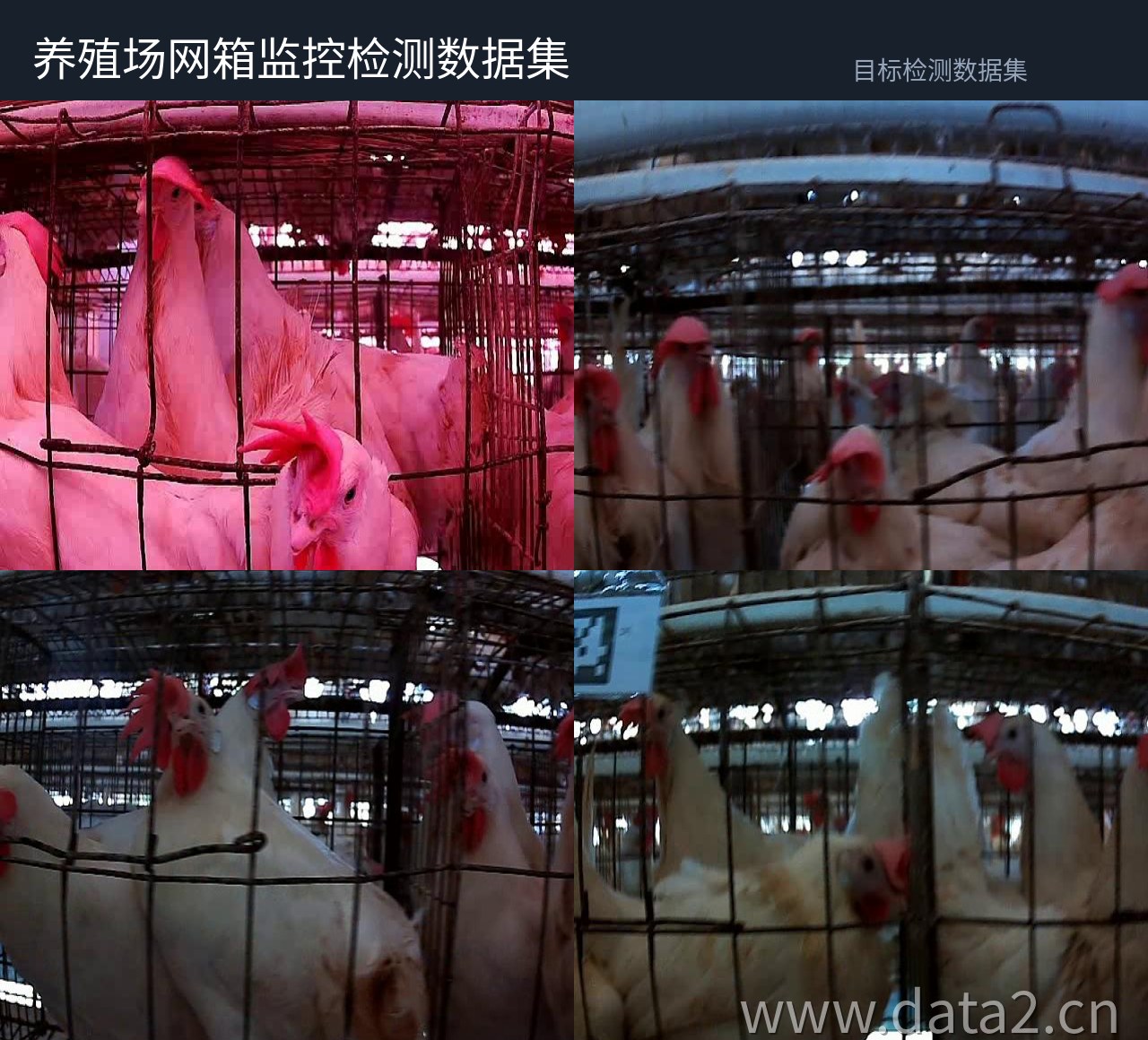 养殖场网箱监控检测数据集 预览图