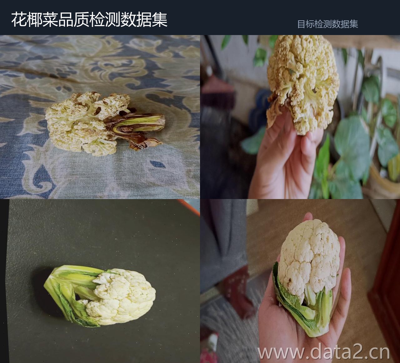 花椰菜品质检测数据集 预览图