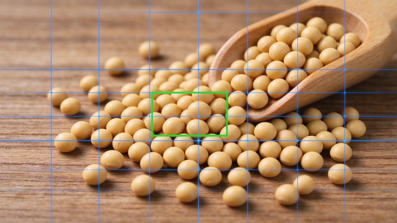 大豆种子质量检测数据集|YOLO数据集