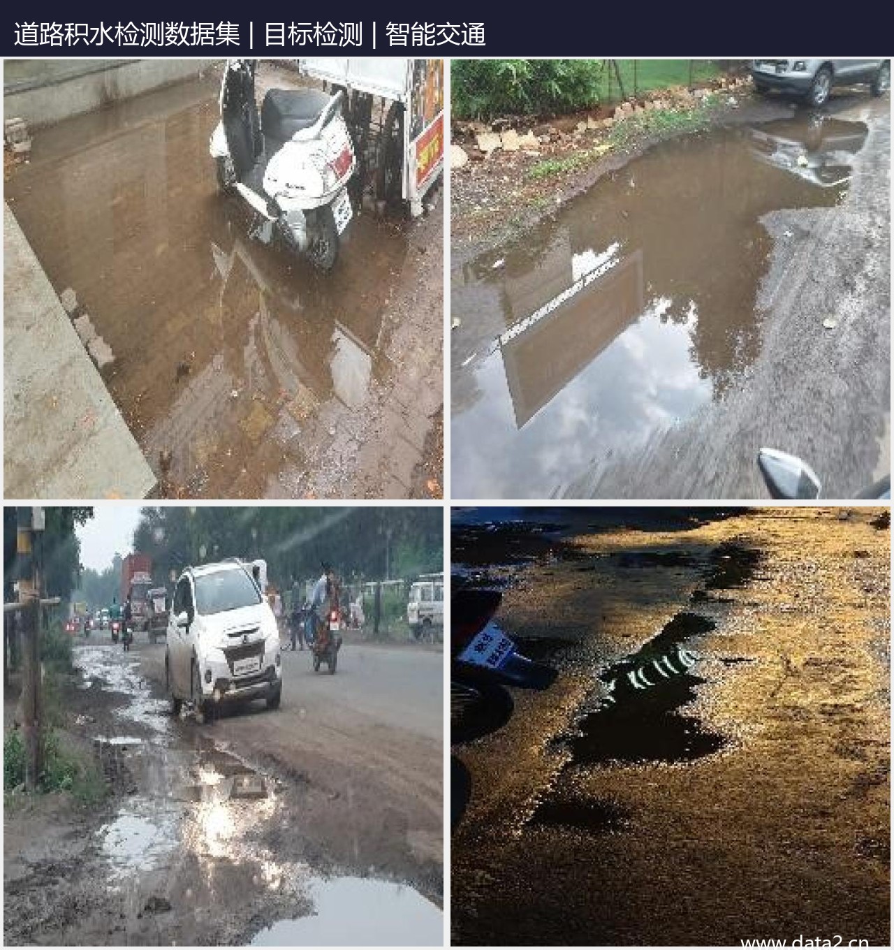 道路积水检测数据集 预览图