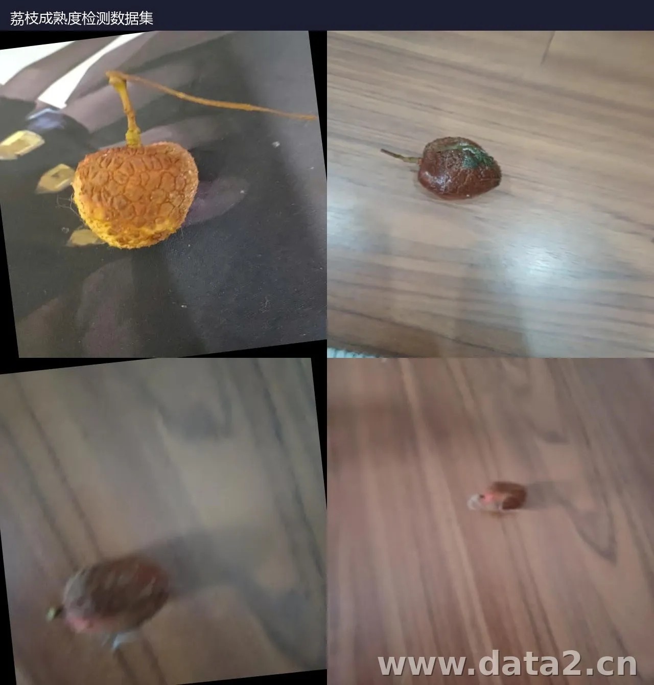 荔枝枯萎变质检测数据集 预览图
