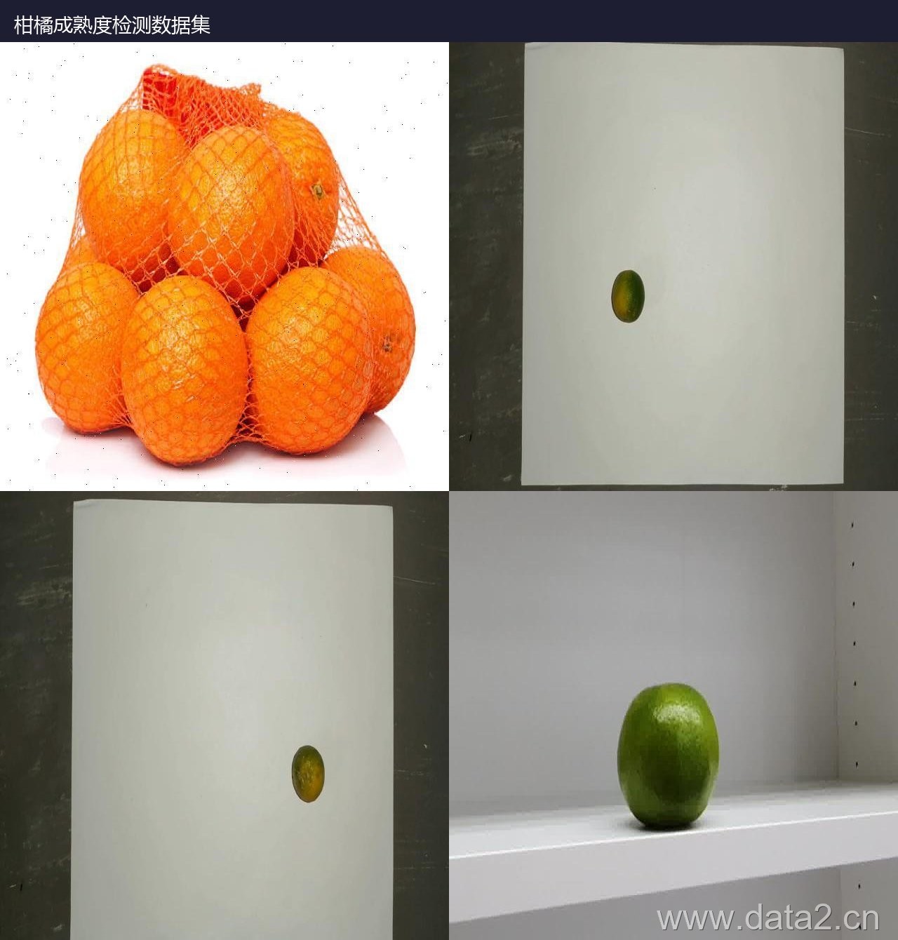 柑橘成熟度检测数据集预览图
