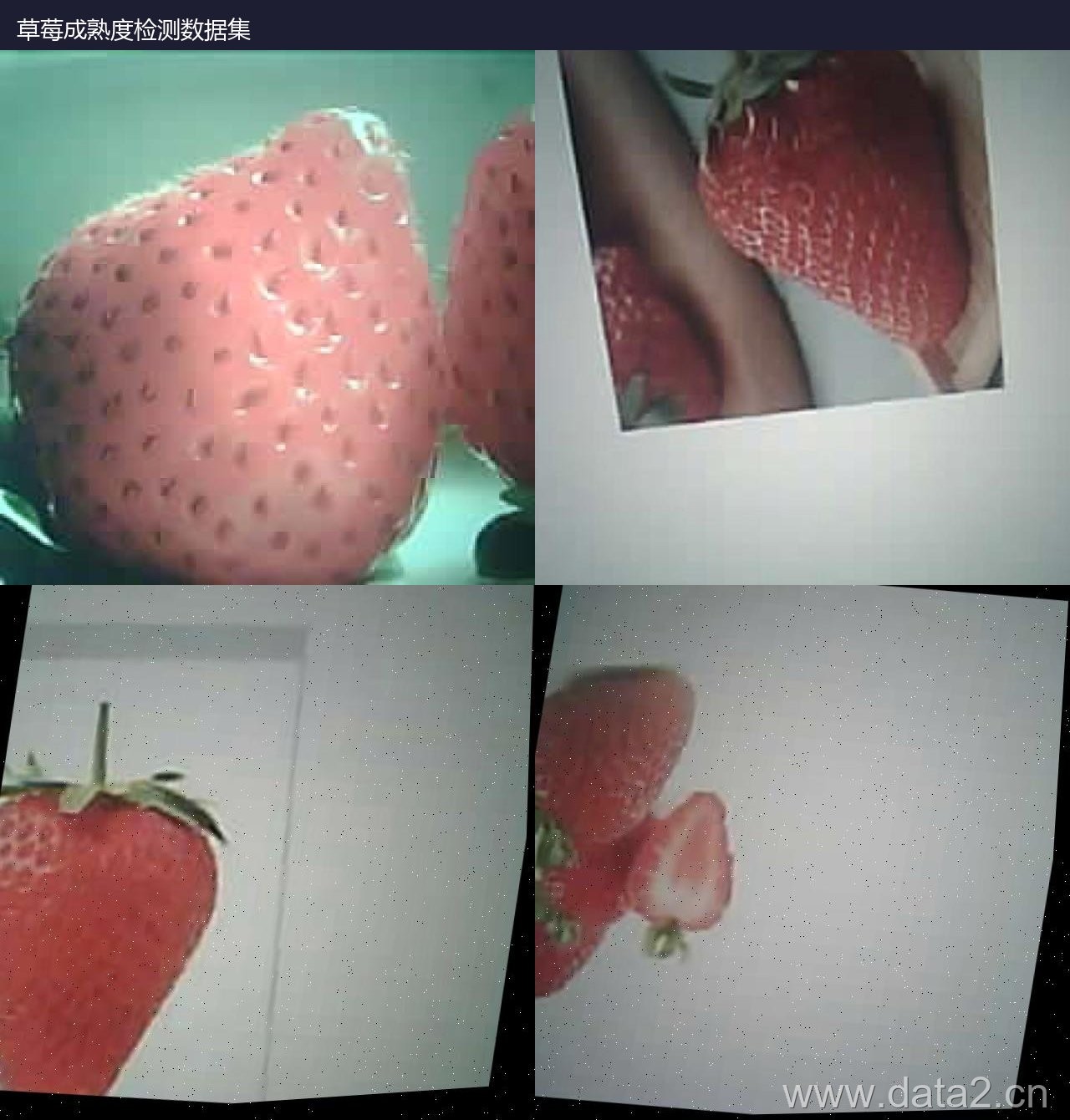 草莓成熟度检测数据集预览图