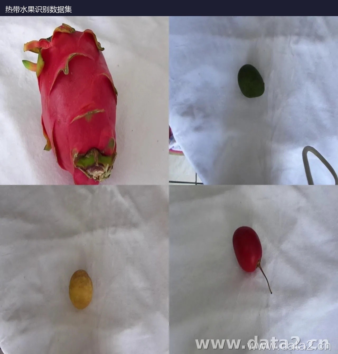 热带水果识别数据集 预览图
