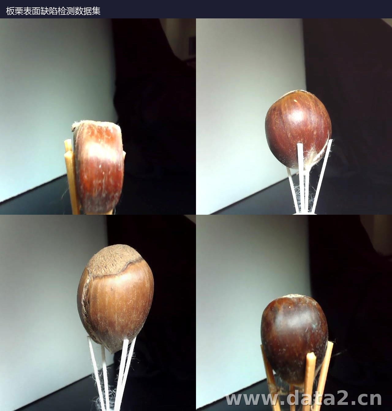 板栗表面缺陷检测数据集 预览图