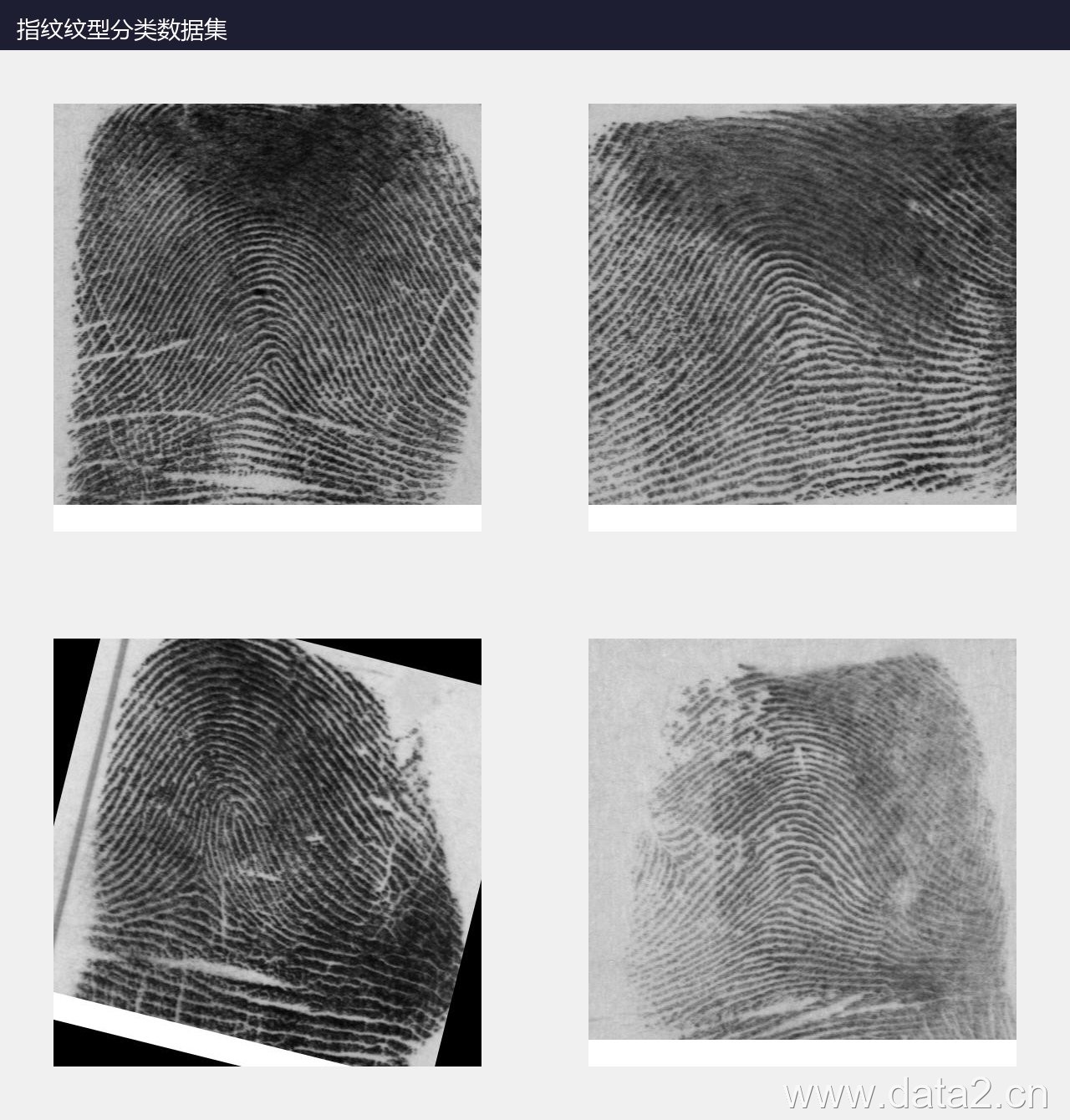 指纹纹型分类数据集 预览图