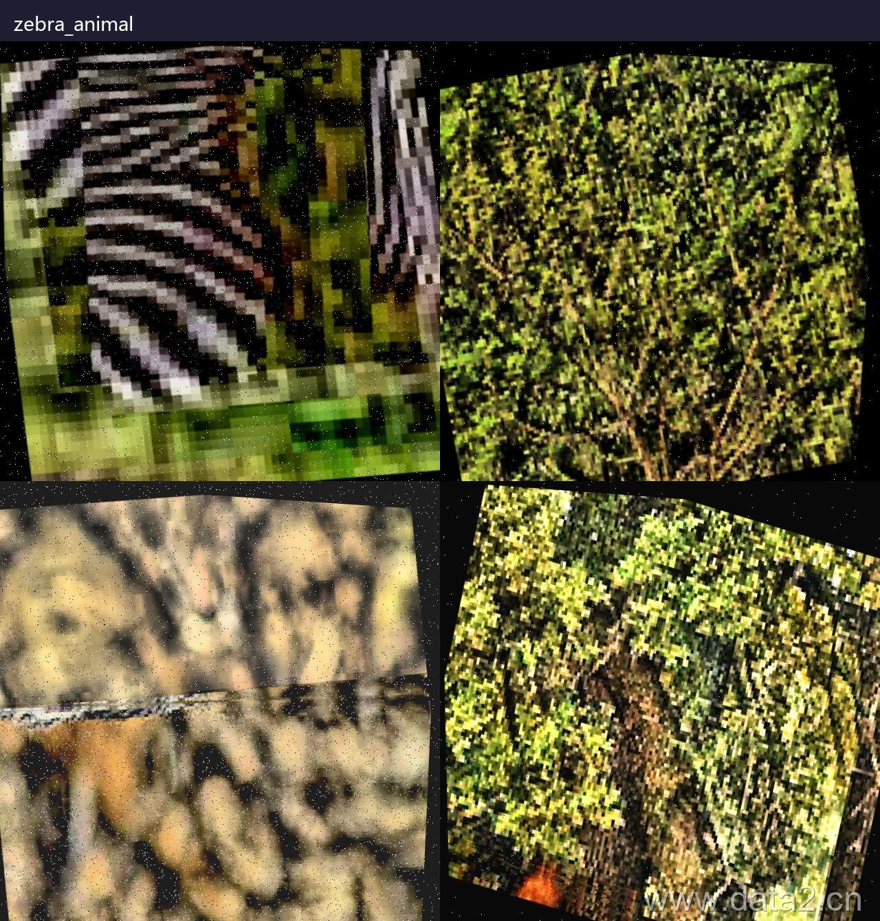 斑马动物检测数据集预览图