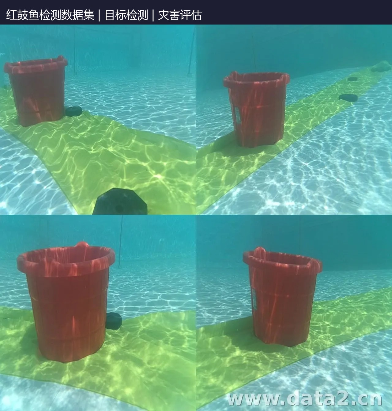 红鼓鱼检测数据集 预览图