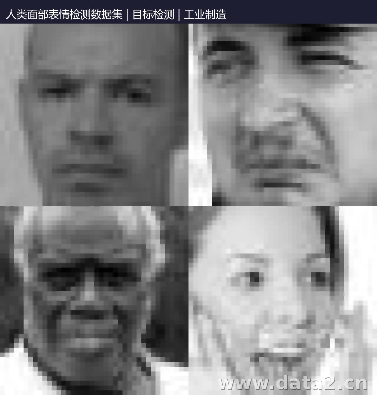 人类面部表情检测数据集 预览图