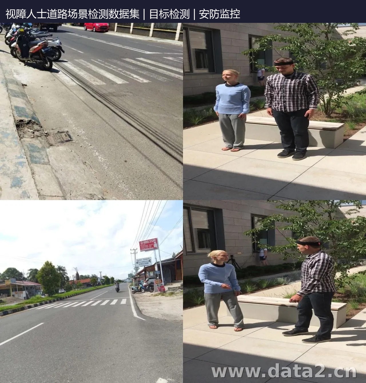 视障人士道路场景检测数据集 预览图