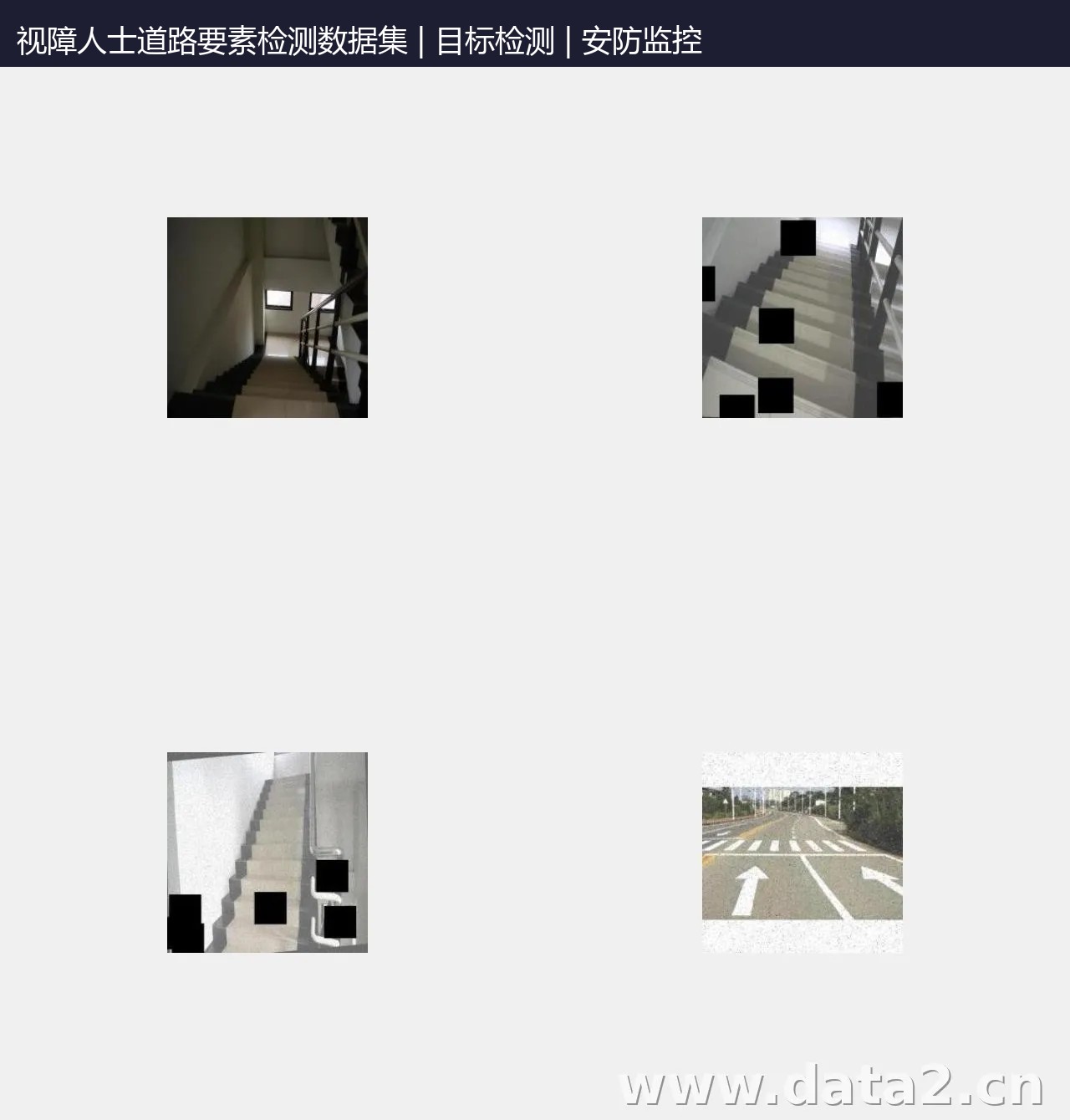 视障人士道路要素检测数据集 预览图