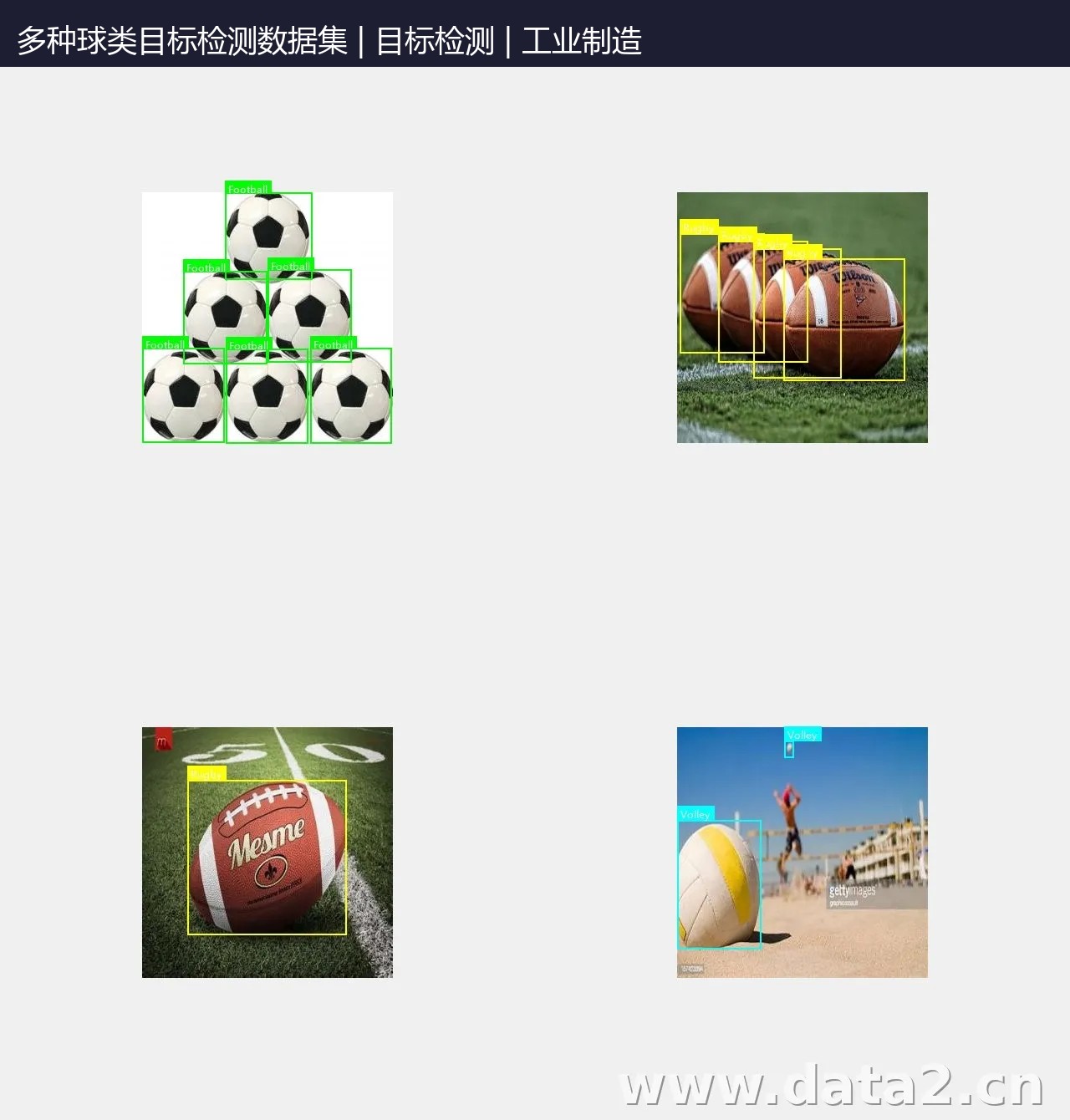 多种球类目标检测数据集 预览图