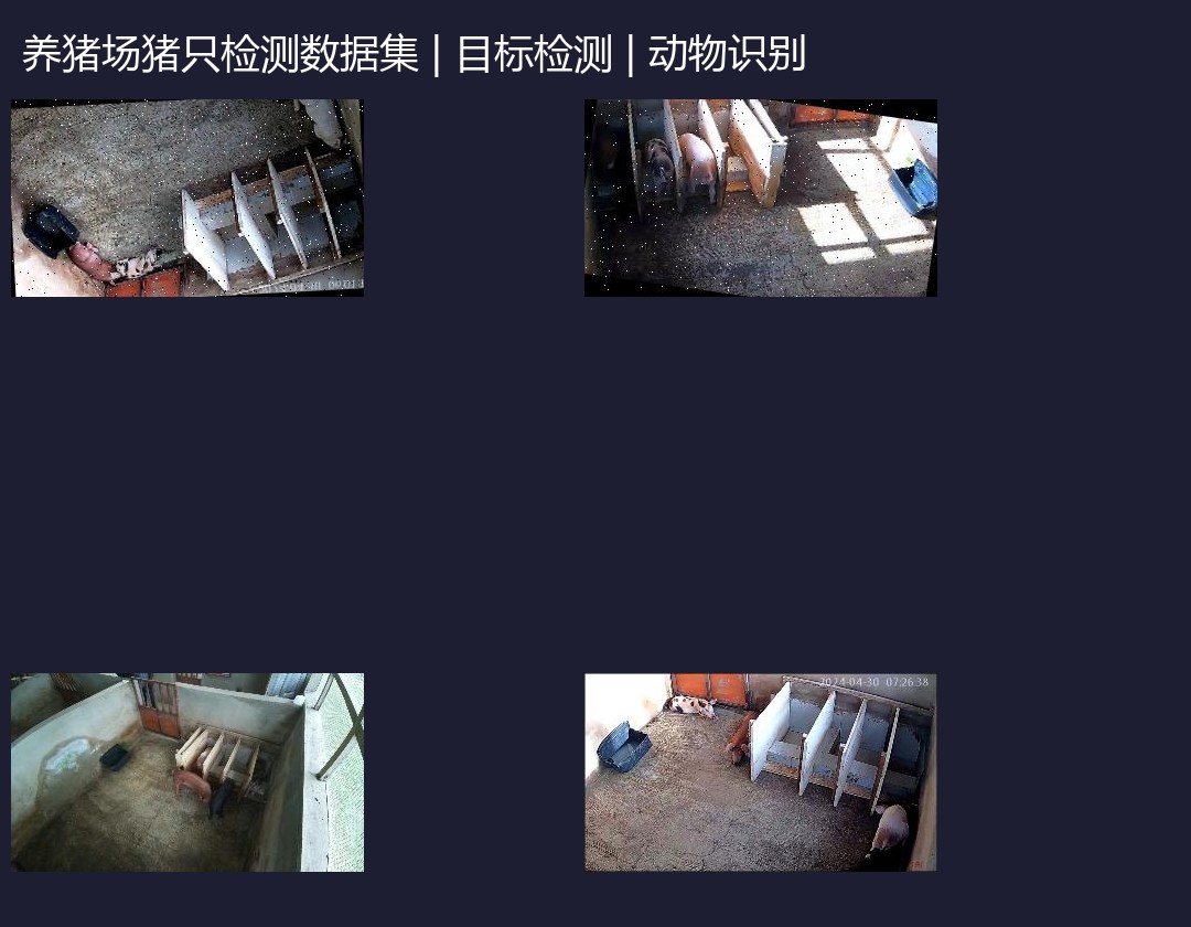 养猪场猪只检测数据集 预览图