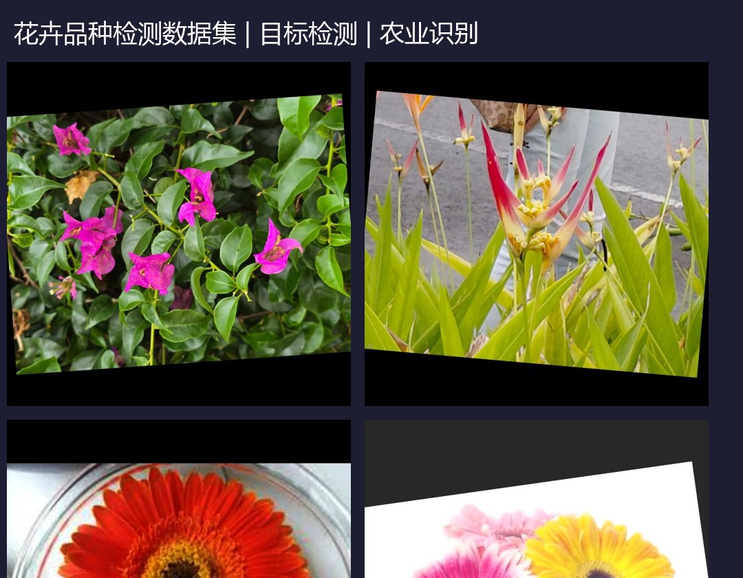 花卉品种检测数据集 预览图