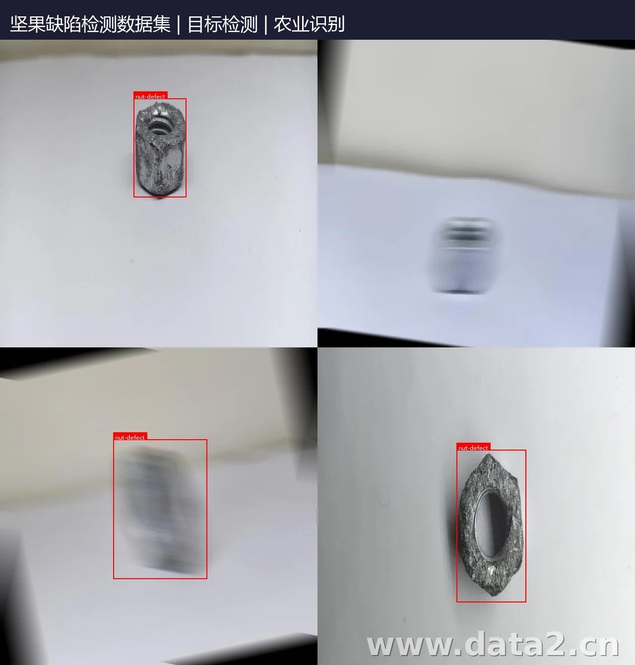 坚果缺陷检测数据集 预览图