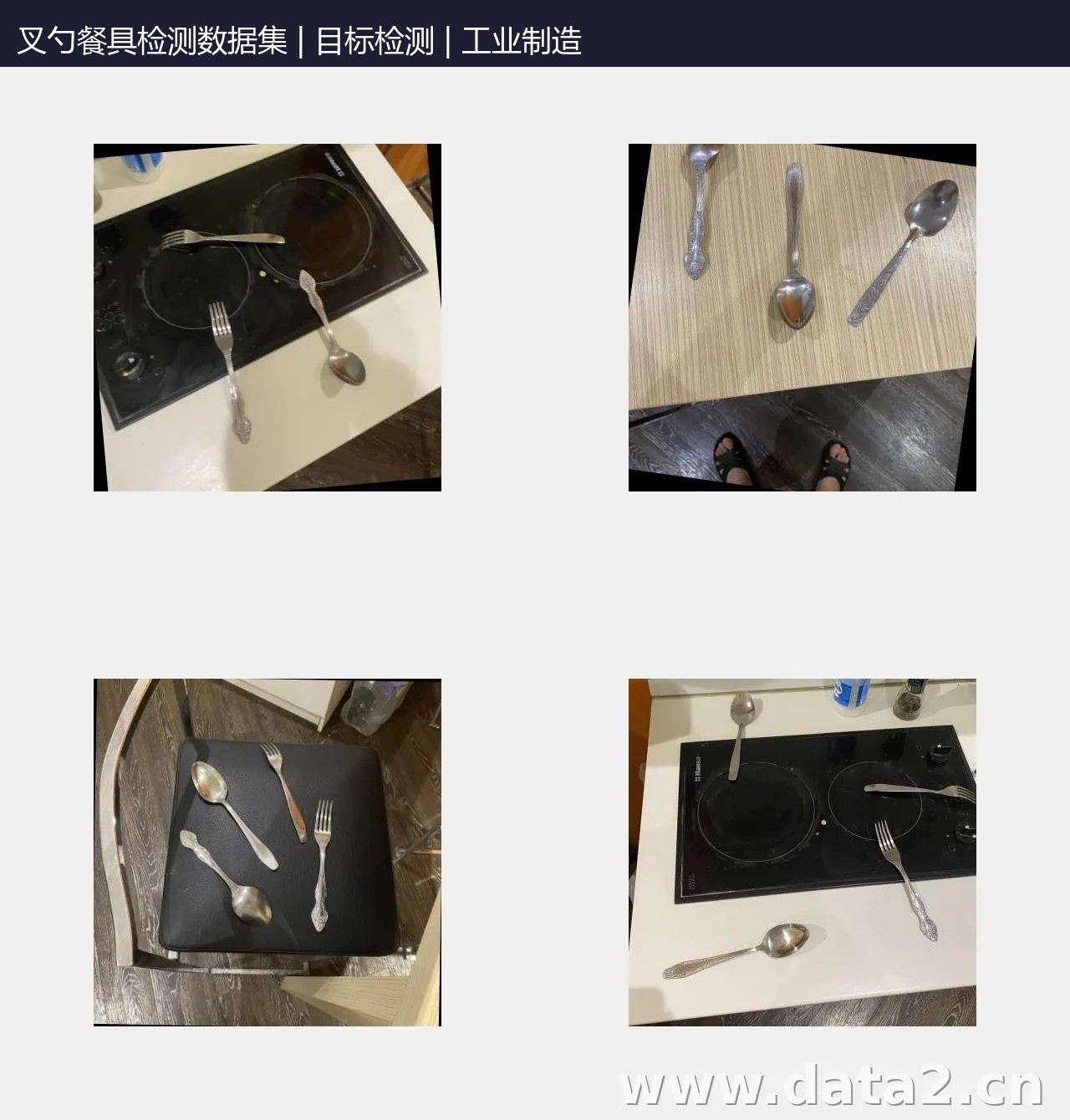 叉勺餐具检测数据集 预览图