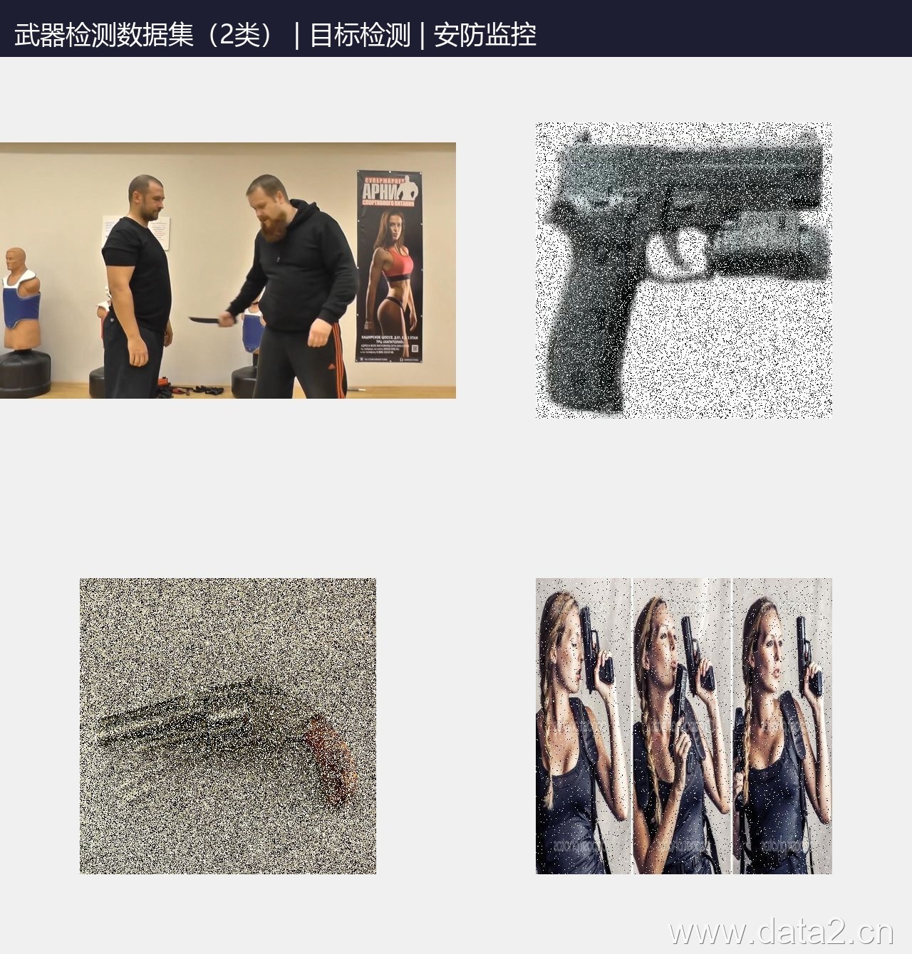 武器检测数据集(2类) 预览图