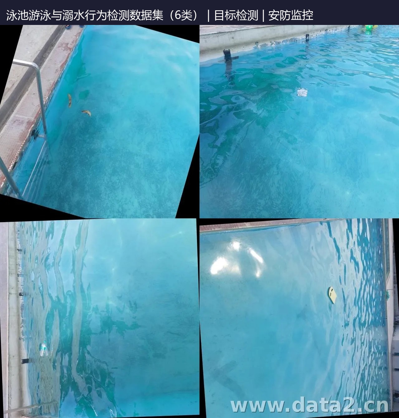 泳池漂浮物检测数据集（6类） 预览图