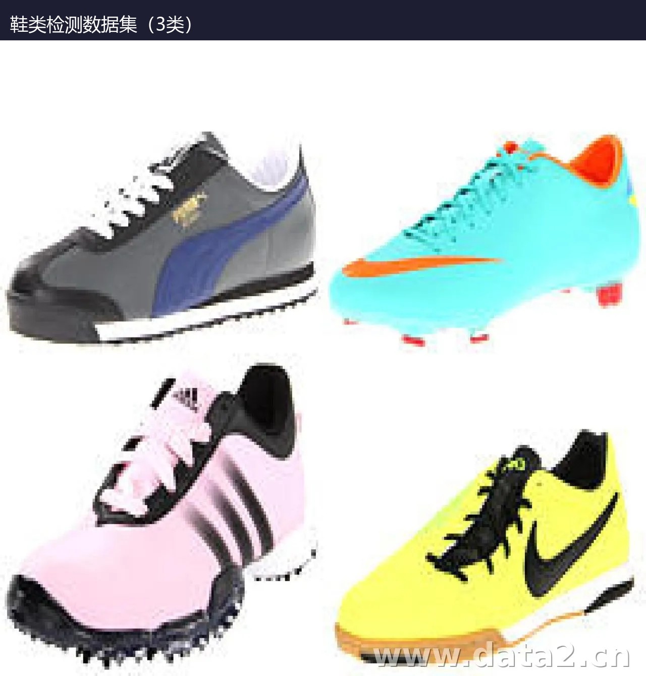 鞋类检测数据集(3类) 预览图