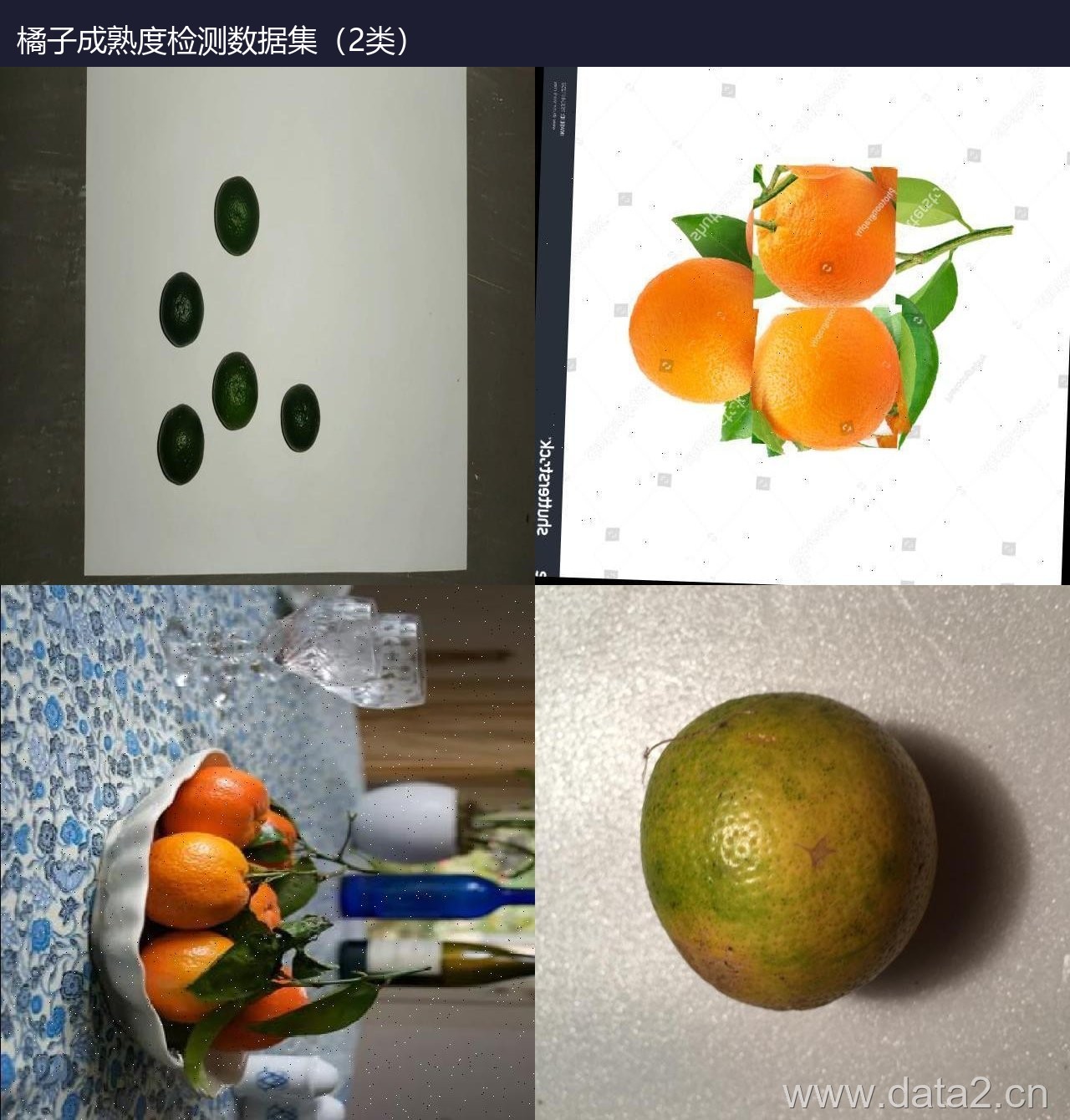 橘子成熟度检测数据集(2类) 预览图