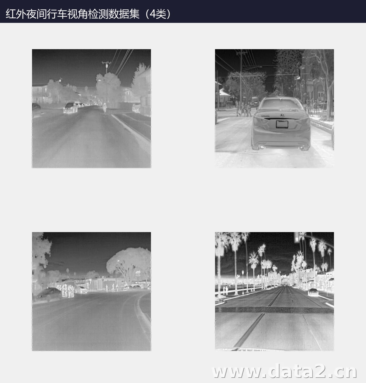 红外夜间行车视角检测数据集(4类) 预览图