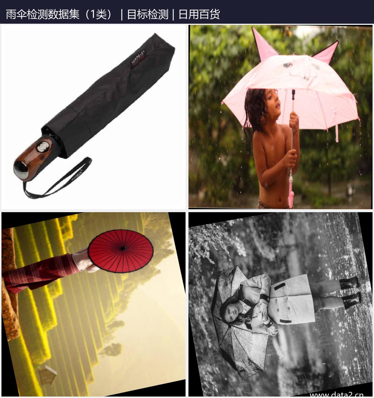 雨伞检测数据集(1类) 预览图