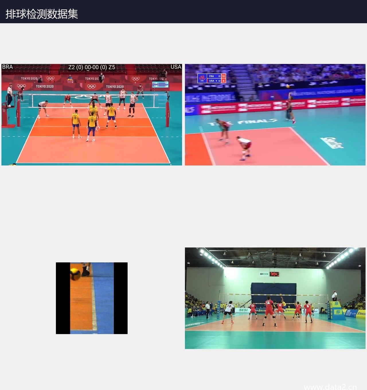 排球检测数据集 预览图