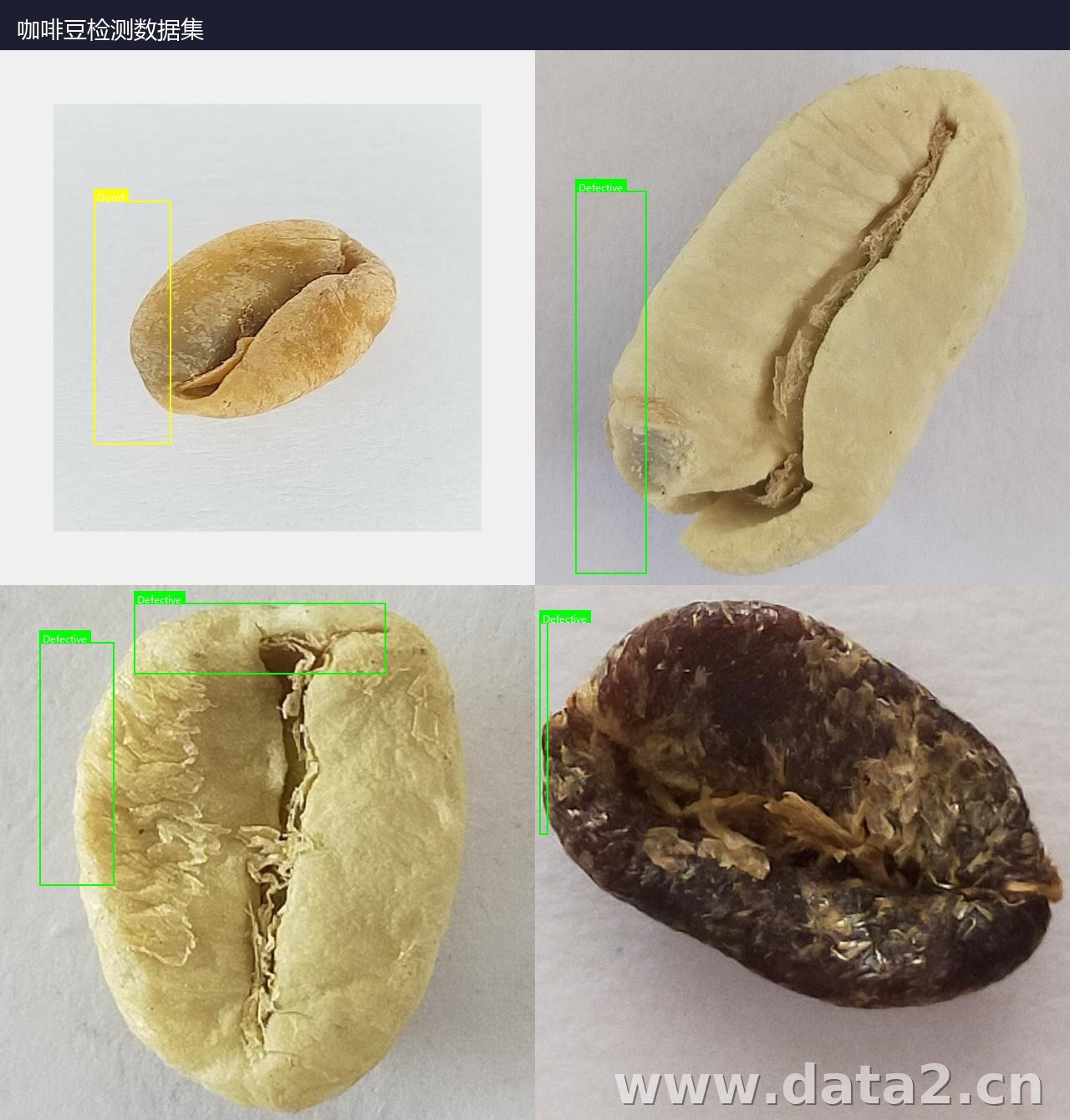 咖啡豆检测数据集 预览图