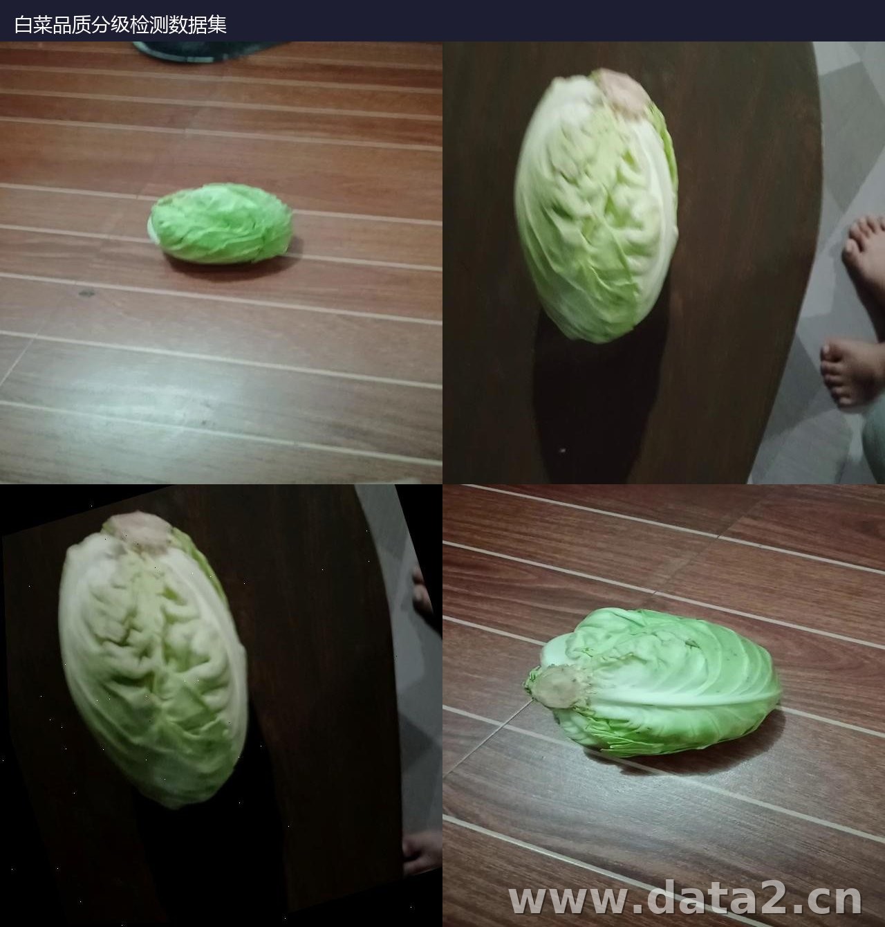 白菜品质分级检测数据集 预览图